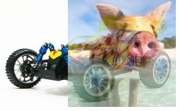 Himoto EXB-16 Brushless Buggy 1:16 2.4GHz RTR (HSP Troian Pro)- 18503