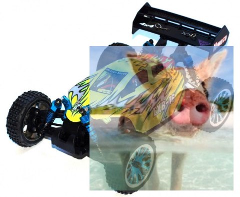 Himoto EXB-16 Brushless Buggy 1:16 2.4GHz RTR (HSP Troian Pro)- 18504 Himoto EXB-16 Brushless Buggy 1:16 2.4GHz RTR (HSP Troian Pro)- 18504