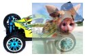 Himoto EXB-16 Brushless Buggy 1:16 2.4GHz RTR (HSP Troian Pro)- 18504