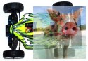 Himoto EXB-16 Brushless Buggy 1:16 2.4GHz RTR (HSP Troian Pro)- 18504