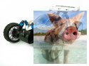 Himoto EXB-16 Buggy 1:16 4x4 2.4GHz RTR (HSP Troian) - 18501