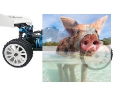 Himoto EXB-16 Buggy 1:16 4x4 2.4GHz RTR (HSP Troian) - 18501 Himoto EXB-16 Buggy 1:16 4x4 2.4GHz RTR (HSP Troian) - 18501