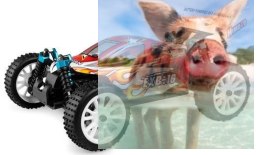 Himoto EXB-16 Buggy 1:16 4x4 2.4GHz RTR (HSP Troian)- 18502