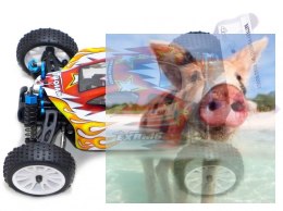 Himoto EXB-16 Buggy 1:16 4x4 2.4GHz RTR (HSP Troian)- 18502