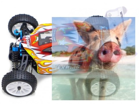 Himoto EXB-16 Buggy 1:16 4x4 2.4GHz RTR (HSP Troian)- 18502 Himoto EXB-16 Buggy 1:16 4x4 2.4GHz RTR (HSP Troian)- 18502