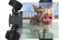 Himoto EXM-16 2.4GHz (HSP Kidking) - 18602