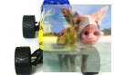 Himoto EXM-16 Brushless 2.4GHz (HSP Kidking BL)