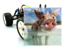 Himoto EXT-16 1:16 4x4 2.4GHz RTR (HSP Hunter)- 18301