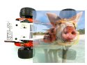 Himoto EXT-16 1:16 4x4 2.4GHz RTR (HSP Hunter)- 18302