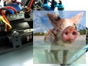 Himoto EXT-16 Brushless 2.4GHz (HSP Hunter) - 18301