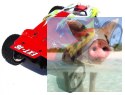 Himoto EXT-16 Brushless 2.4GHz RTR - 18304