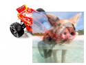 Himoto E18XT Truggy Centro V2 1:18 2.4GHz RTR Brushed- 28701