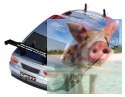 Himoto EDC-16 Brushless Drift 1:16 4x4 2.4GHz RTR (HSP Flying Fish 2 PRO)-16302