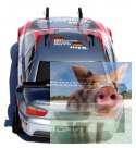 Himoto EDC-16 Brushless Drift 1:16 4x4 2.4GHz RTR (HSP Flying Fish 2 PRO)-16302