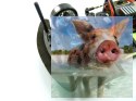 Himoto EDC-16 Brushless Drift 1:16 4x4 2.4GHz RTR (HSP Flying Fish 2 PRO)-16302