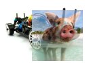 Himoto EDC-16 Brushless Drift 1:16 4x4 2.4GHz RTR (HSP Flying Fish 2 PRO)-16302