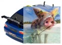 Himoto EDC-16 Drift 1:16 4x4 2.4GHz RTR (HSP Flying Fish 2) - 16303