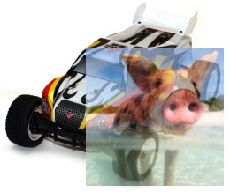 Himoto PROWLER XT 1:12 2.4GHz - 21313R