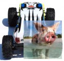 Himoto PROWLER XT 1:12 2.4GHz - 21313Y