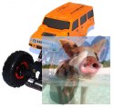 Kulak Crawler 2.4GHz 1:16- 68071
