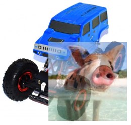 Kulak Crawler 2.4GHz 1:16- 68072