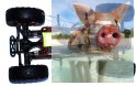 Kulak Crawler 2.4GHz 1:16- 68072