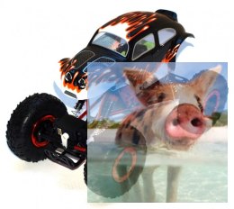 Kulak Crawler 2.4GHz 1:16-68081