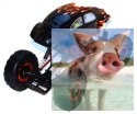 Kulak Crawler 2.4GHz 1:16-68081
