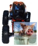 Kulak Crawler 2.4GHz 1:16-68081