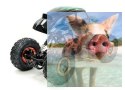 Kulak Crawler 2.4GHz 1:16 - 68083