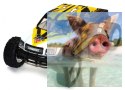 PROWLER MT 1:12 2.4GHz - 21315Y