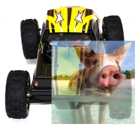 PROWLER MT 1:12 2.4GHz - 21315Y PROWLER MT 1:12 2.4GHz - 21315Y