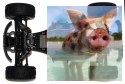 PROWLER MT 1:12 2.4GHz - 21315Y