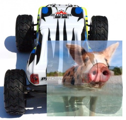 PROWLER MT 1:12 2.4GHz RTR - 21314Y PROWLER MT 1:12 2.4GHz RTR - 21314Y