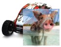PROWLER MTL Brushless 1:12 2.4 GHz RTR - 21314G