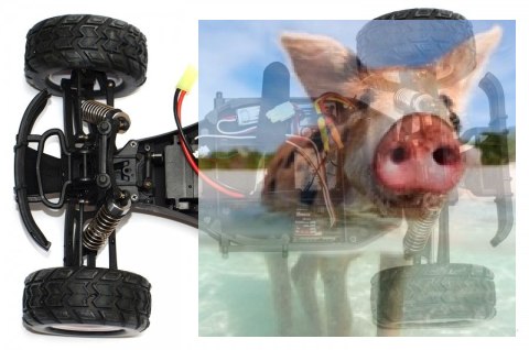 PROWLER MTL Brushless 1:12 2.4 GHz RTR - 21314G PROWLER MTL Brushless 1:12 2.4 GHz RTR - 21314G