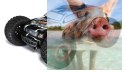 Thunder Tiger MT4 G3 1/8 4WD 2.4GHz Monster Truck RTR Bezszczotkowy-F112