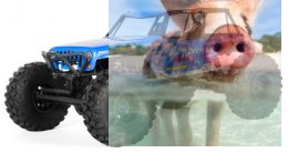 Axial Jeep Wrangler Wraith-Poison 1:10 4WD ARTR
