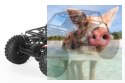 Axial Jeep Wrangler Wraith-Poison 1:10 4WD ARTR