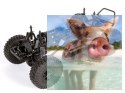 Axial SCX10 Deadbolt 1:10 4WD ARTR
