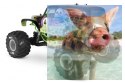 Axial SMT10 Grave Digger Monster Jam Truck 1:10 4WD ARTR