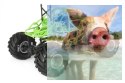 Axial SMT10 Grave Digger Monster Jam Truck 1:10 4WD ARTR