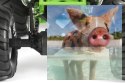 Axial SMT10 Grave Digger Monster Jam Truck 1:10 4WD ARTR