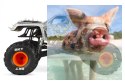 Axial SMT10 MAX-D Monster Jam Truck 1:10 4WD ARTR