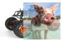 Axial SMT10 MAX-D Monster Jam Truck 1:10 4WD ARTR