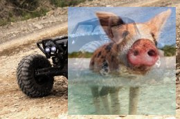 Axial Wraith Rock Racer 1:10 4WD ARTR