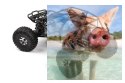 Axial Wraith Rock Racer 1:10 4WD ARTR