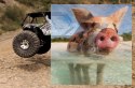 Axial Wraith Rock Racer 1:10 4WD ARTR