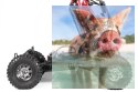 Axial Yeti XL Monster Buggy 1:8 4WD ARTR