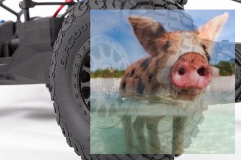 Axial Yeti SCORE Trophy Truck 1:10 4WD ARTR Axial Yeti SCORE Trophy Truck 1:10 4WD ARTR